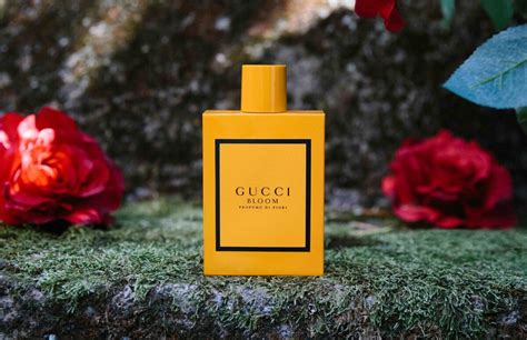 profumo uomo gucci|Gucci bloom original.